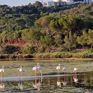 Mongofre Mahon (Menorca)